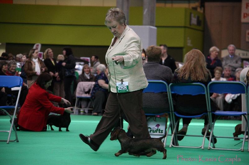 Crufts2011_2 989.jpg